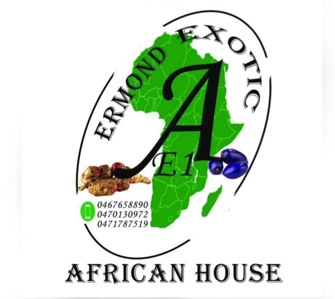 african-house-2