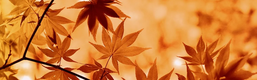 test blog nouveau 45452