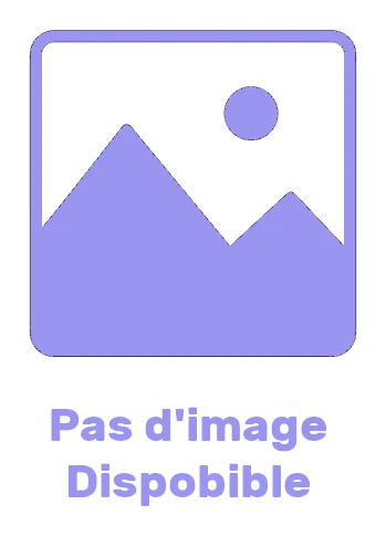 OBJETS D'ARTS